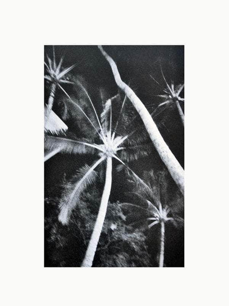 Cahiers d'Art Revue No. 1 2012: Ellsworth Kelly Book