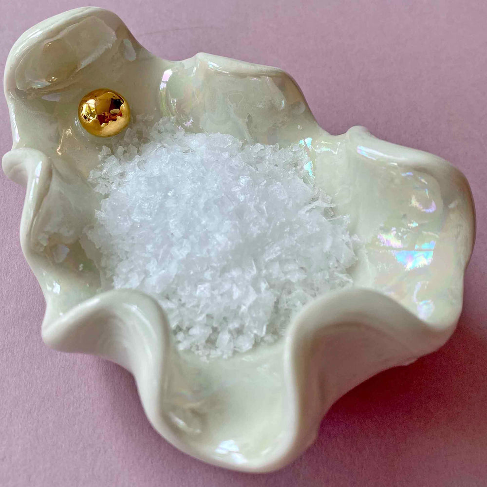 Porcelain Ceramic Oyster Shell Pinch Pot