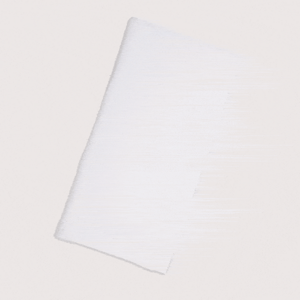 Linen Napkins | Set of 2