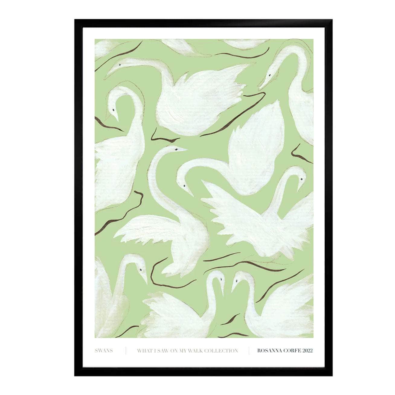 A3 - Swans Print