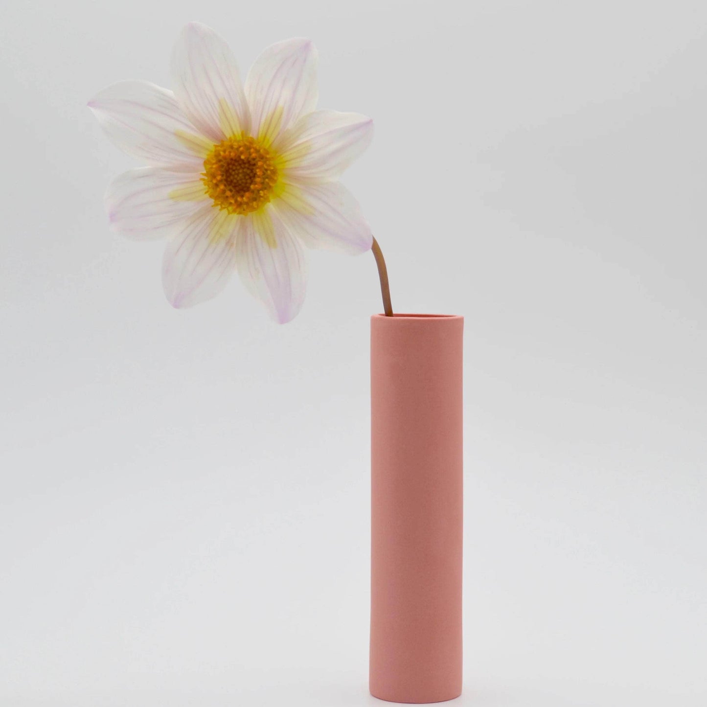 Stem Vase Miami Pink