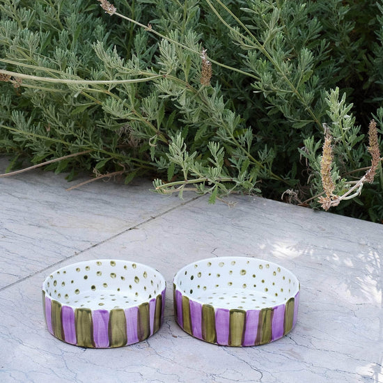 Olive On Purple Stripes Pet Bowl