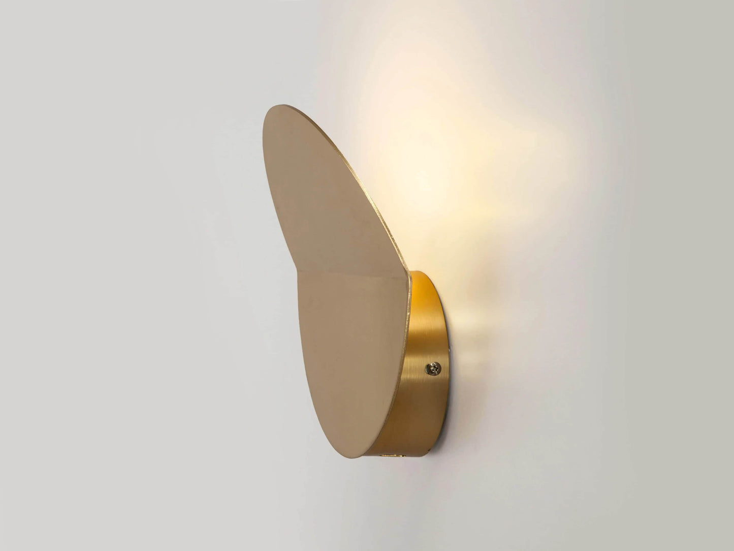 Brass diffuser wall light