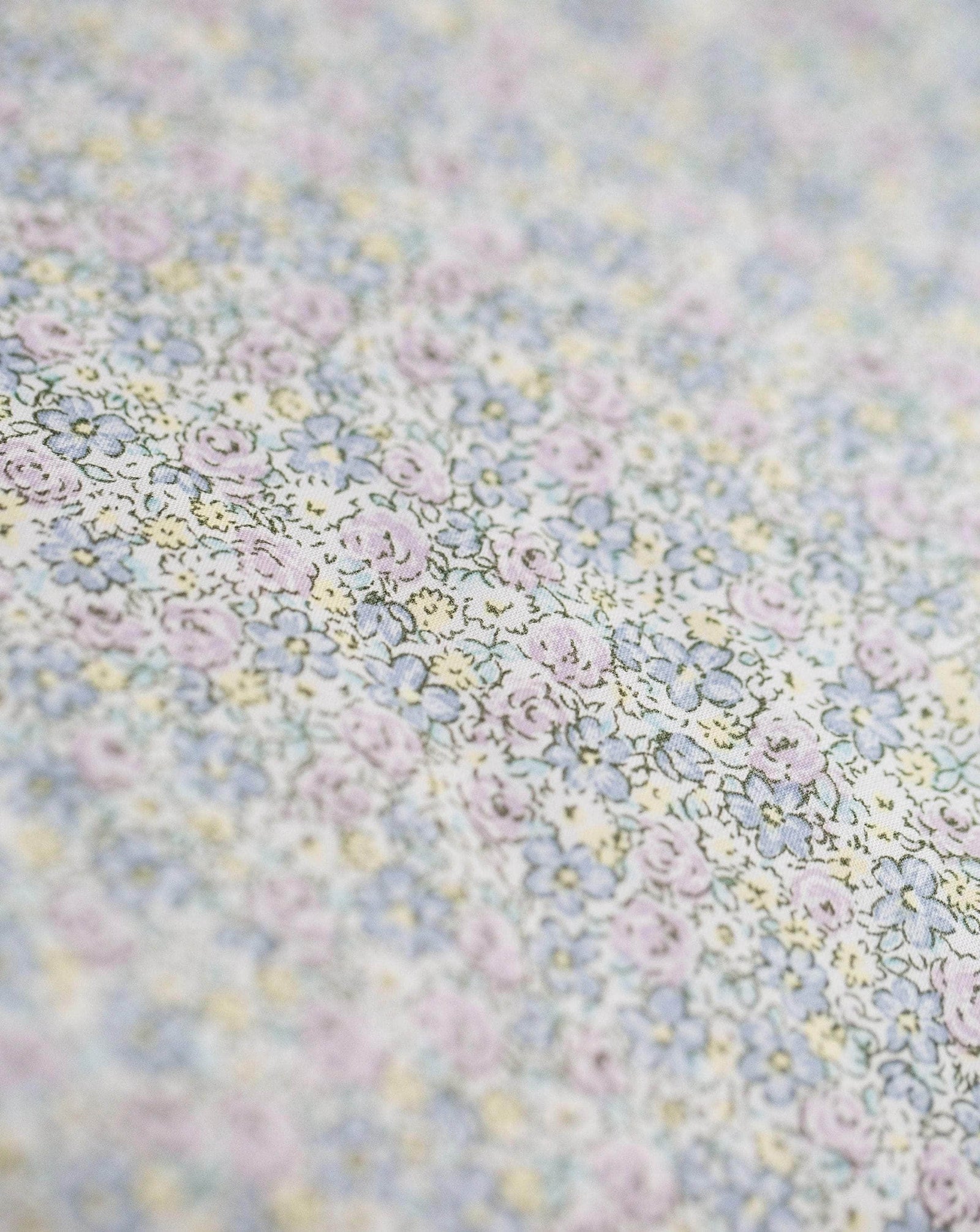 Baby's Sleep Sack - Spring