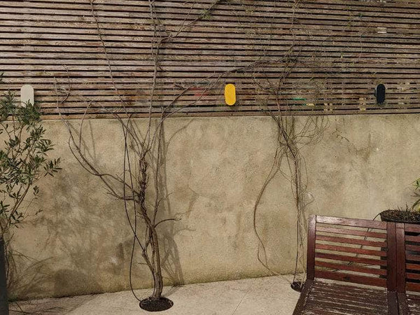 Charcoal grey mini diffuser wall light