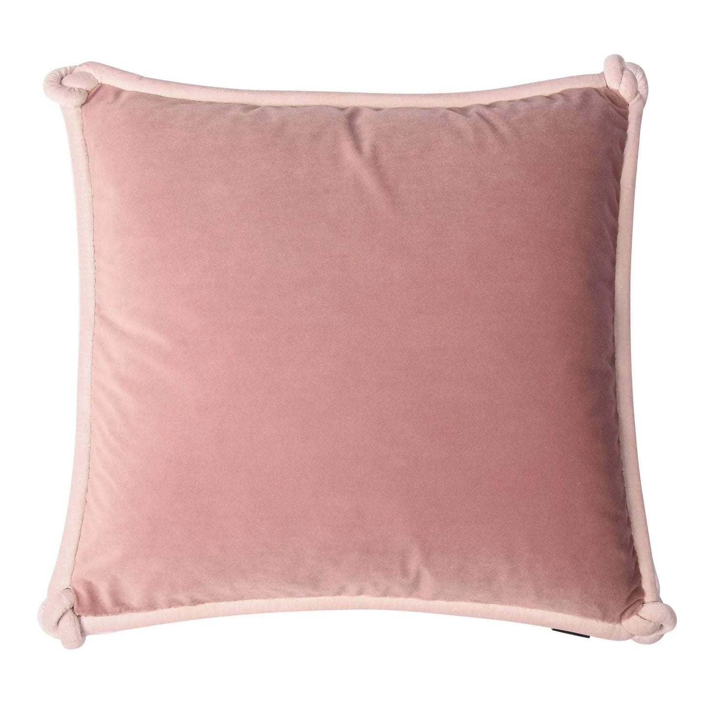 Red & Rose Double-Sided Velvet Cushion with Pale Pink Knotted Piping