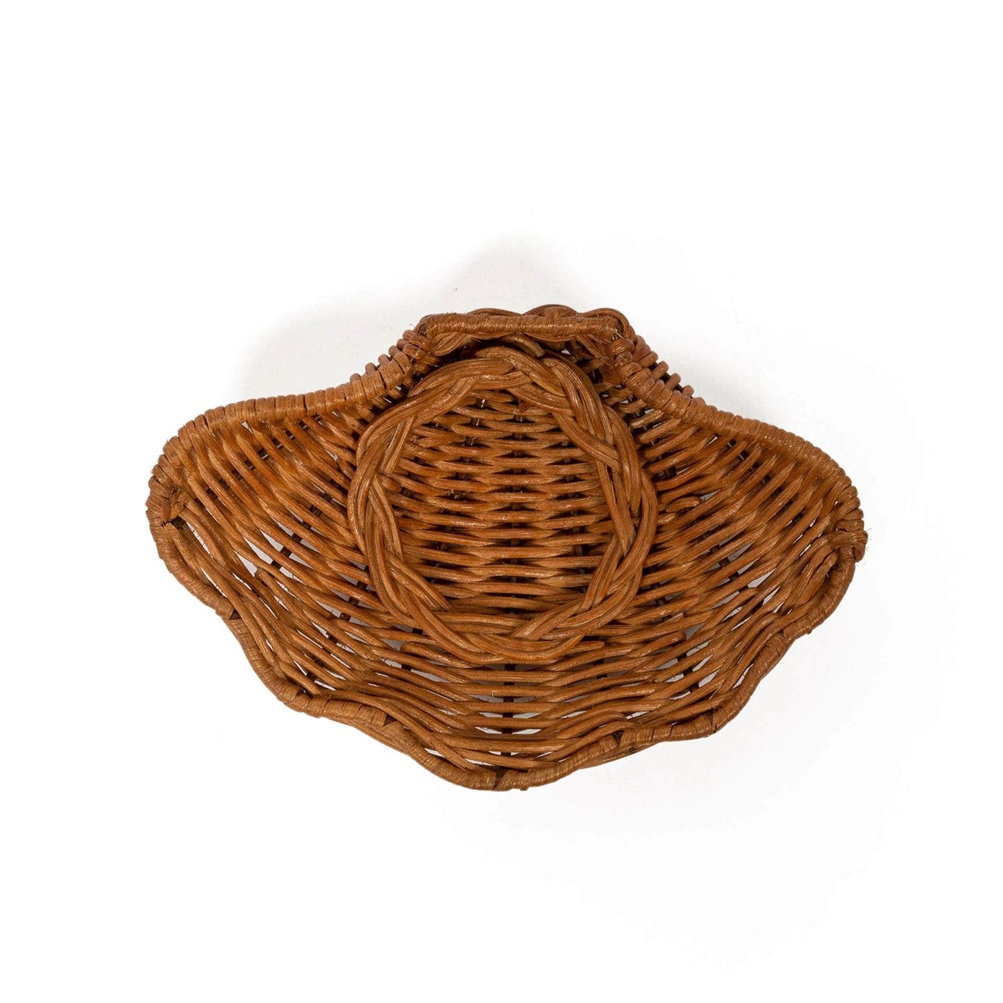 Concha Dish