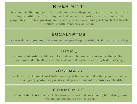 Water Meadow Hand and Body Wash