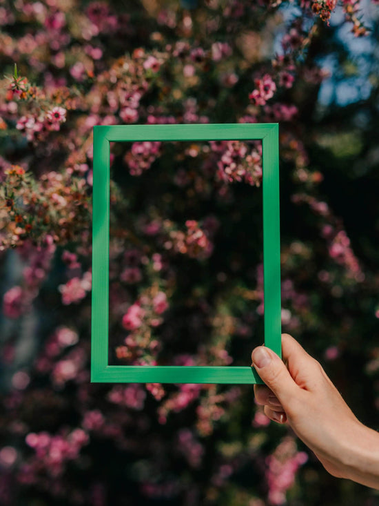 Emerald Green Solid Wood Frame