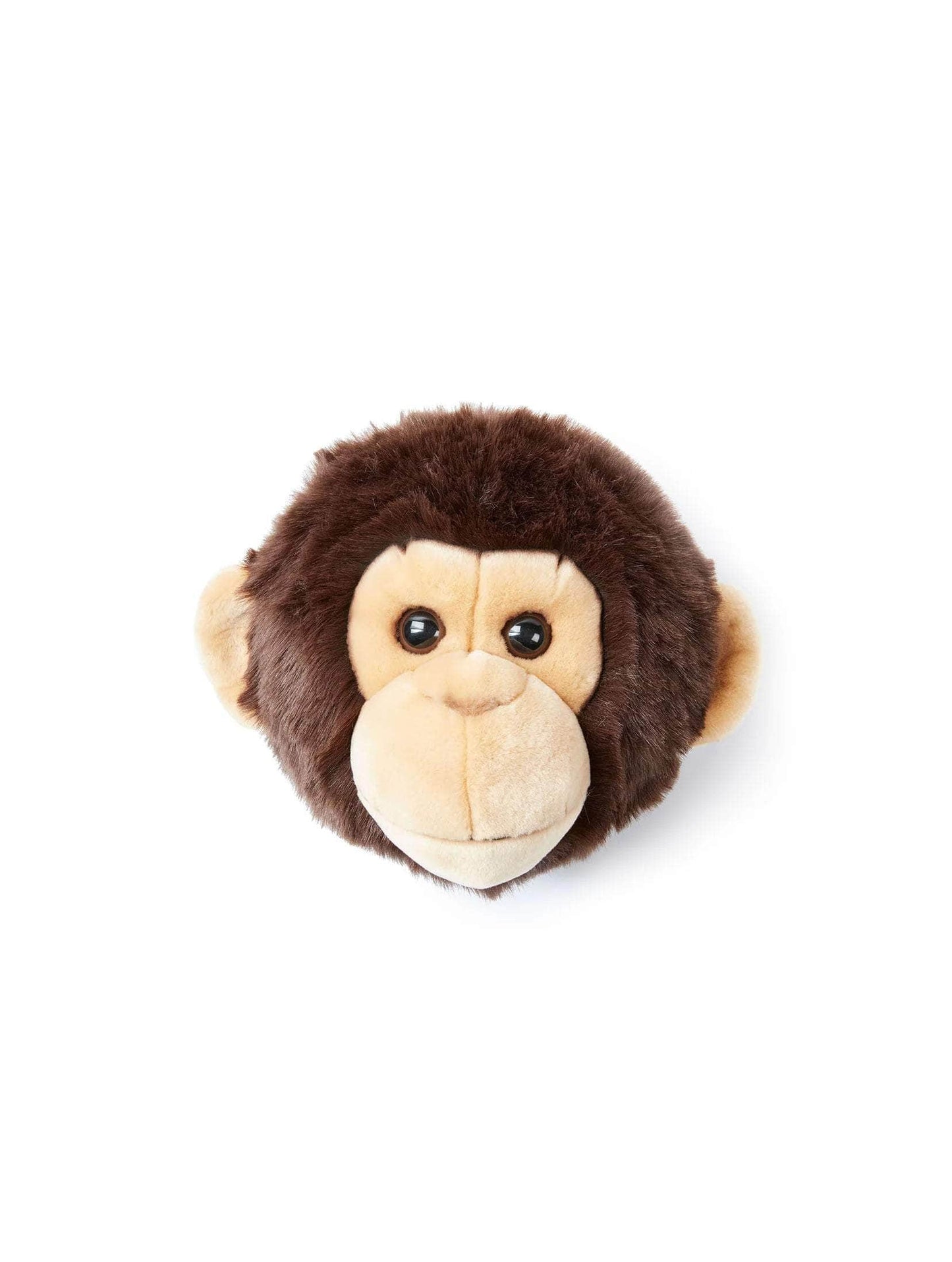 Joe the Monkey Wall Mounted Plush Head