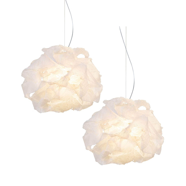 Transcendence 1 Light