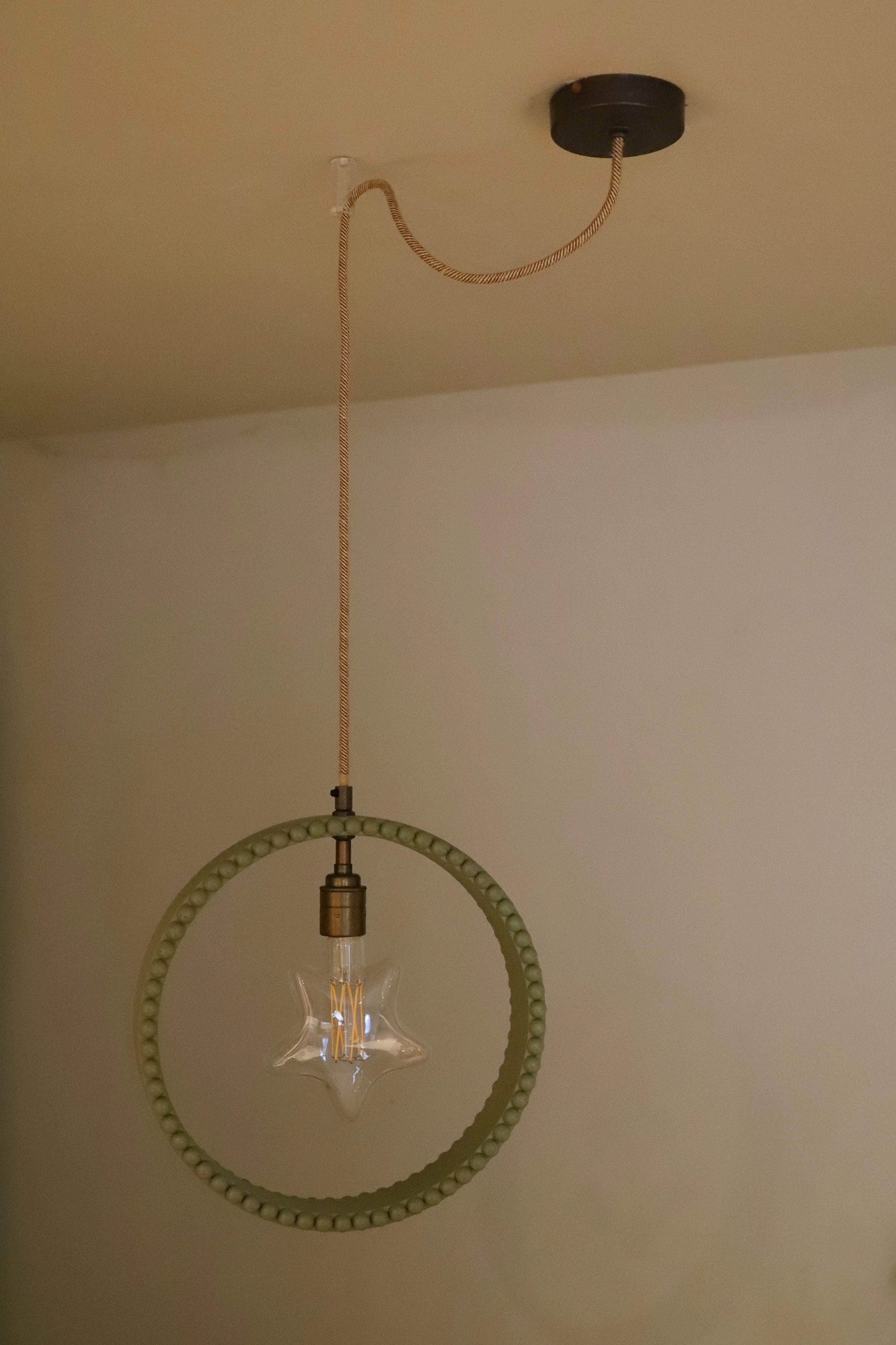 Ring Pendant Ceiling Lamp