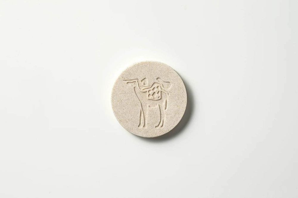 Across the Desert Coin