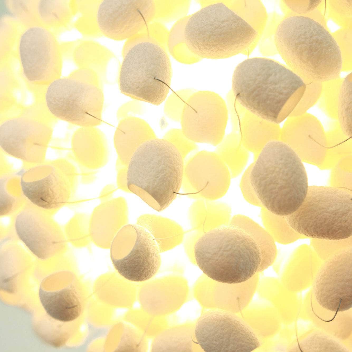 Paradise Pendant Light