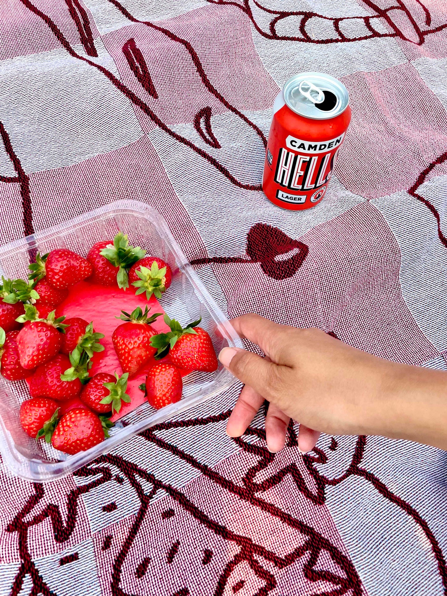 Picnic Blanket