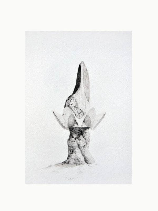 Cahiers d'Art Revue No. 1 2012: Ellsworth Kelly Book
